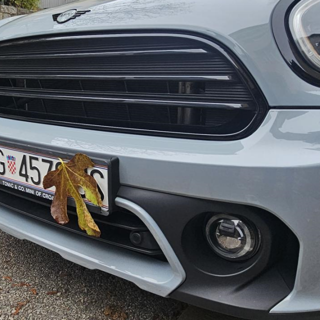 List na pločici, ilustracija