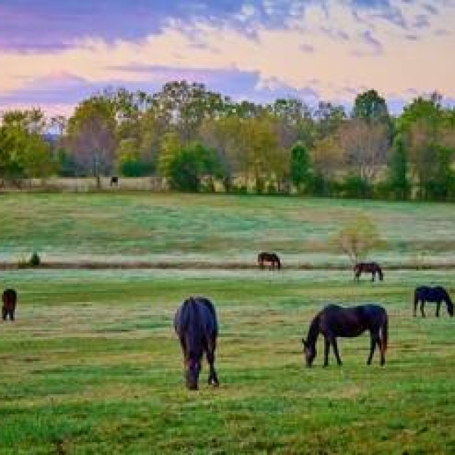 Ilustrativna fotografija