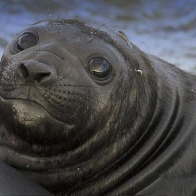 Ilustrativna fotografija