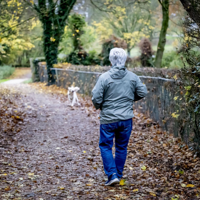 Ilustrativna fotografija