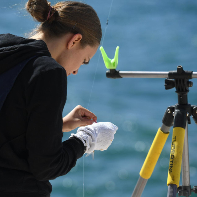 Ribolov, ilustracija