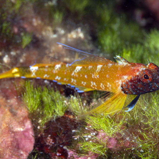 Ilustrativna fotografija