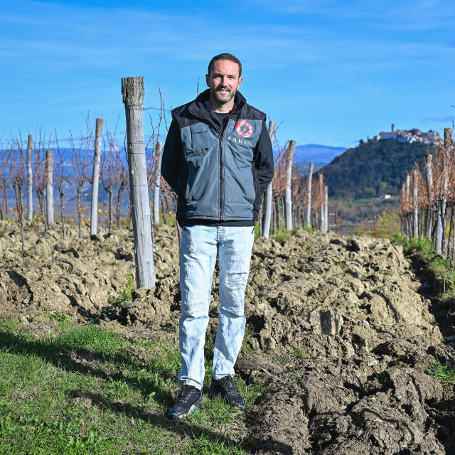 Vinograd Marka Fakina