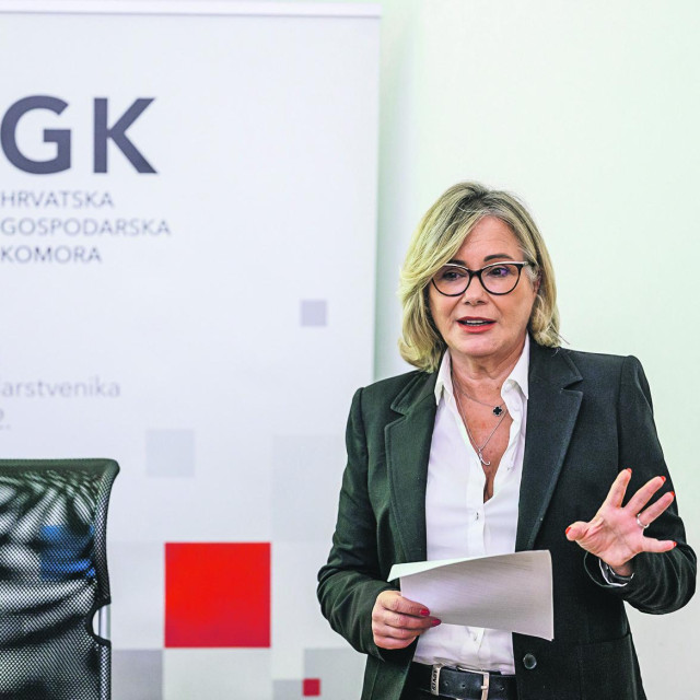 Potpredsjednica HGK za graditeljstvo i promet Mirjana Čagalj