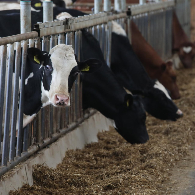 Ilustrativna fotografija