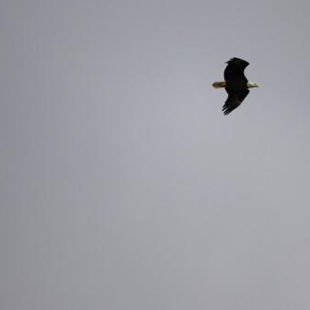 Ilustrativna fotografija