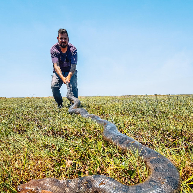 S anakondom u Južnoj Americi, ilustrativna fotografija