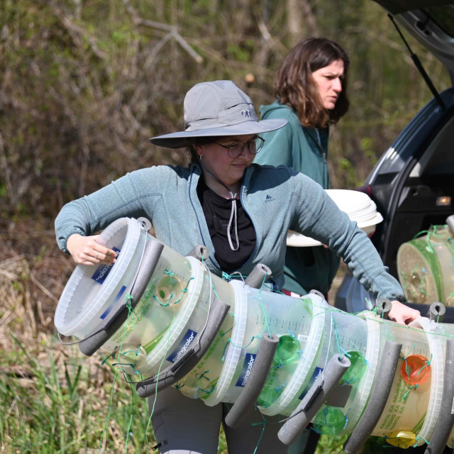 Ilustrativna fotografija