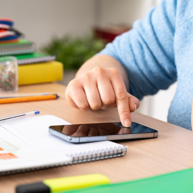 Građanima preporučuju i da provjere web adresu