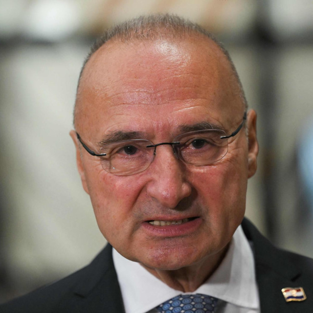 Gordan Grlić Radman