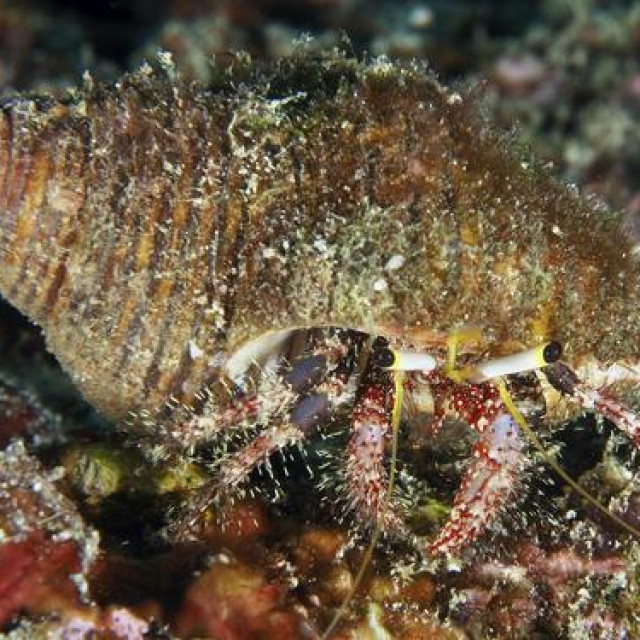 Ilustrativna fotografija