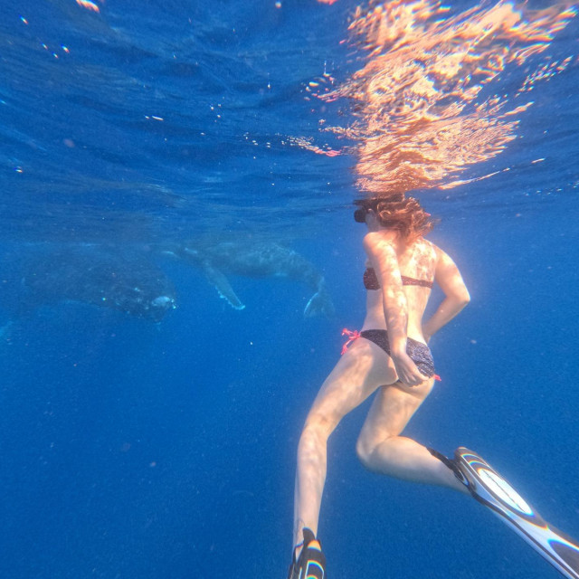 Fotografija s putovanja