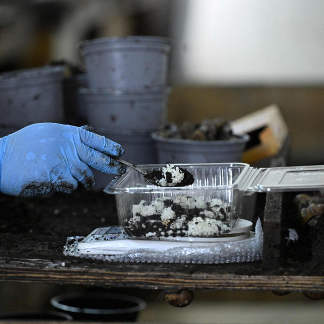 Ilustrativna fotografija 