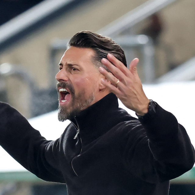 Sandro Wagner