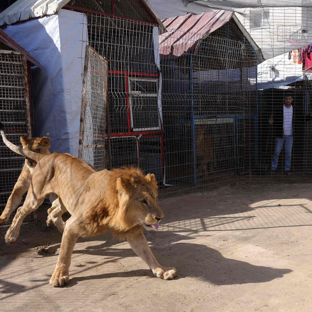 Ilustrativna fotografija