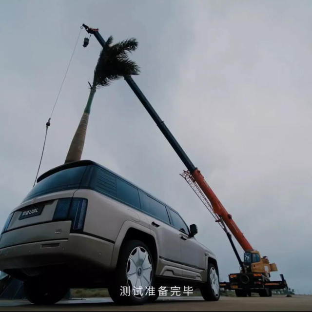 BYD-ov crash test s divovskom palmom
