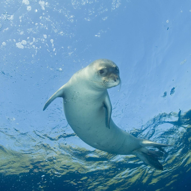 Ilustrativna fotografija