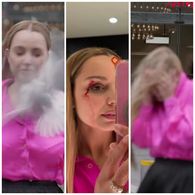 Reporterku napala ptica