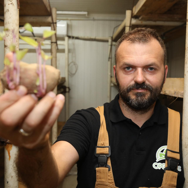 OPG Perec lani je proizveo 18 tona tjestenine s batatom, ali počeci nisu bili jednostavni