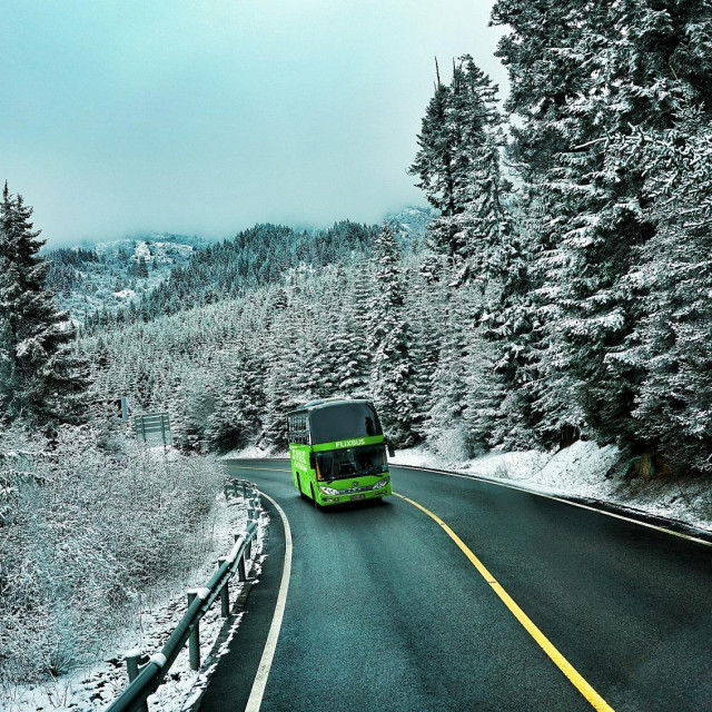 Flixbus zima