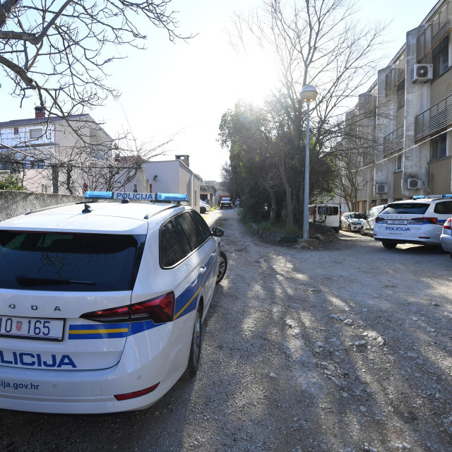 Policija/ilustracija