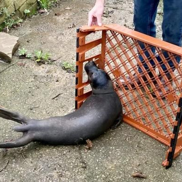 Ilustrativna fotografija