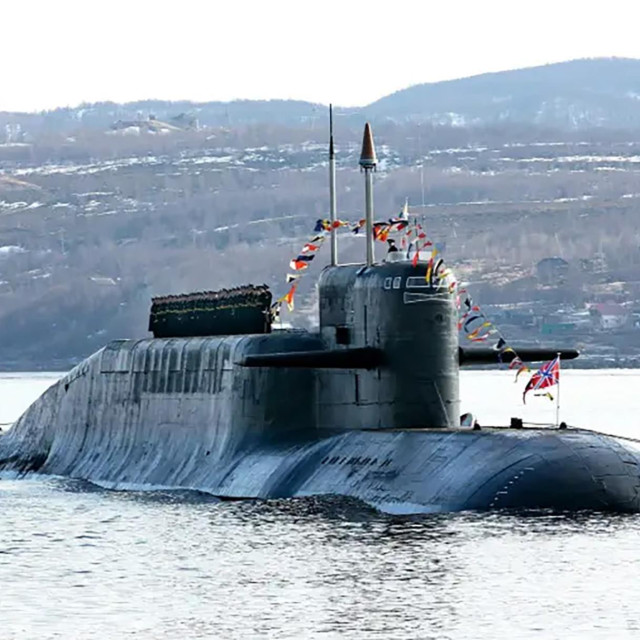 K-117 Brjansk, ruska nuklearna podmornica klase Delfin naoružana balističkim projektilima, ilustracija