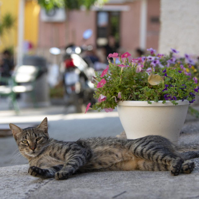 Ilustrativna fotografija