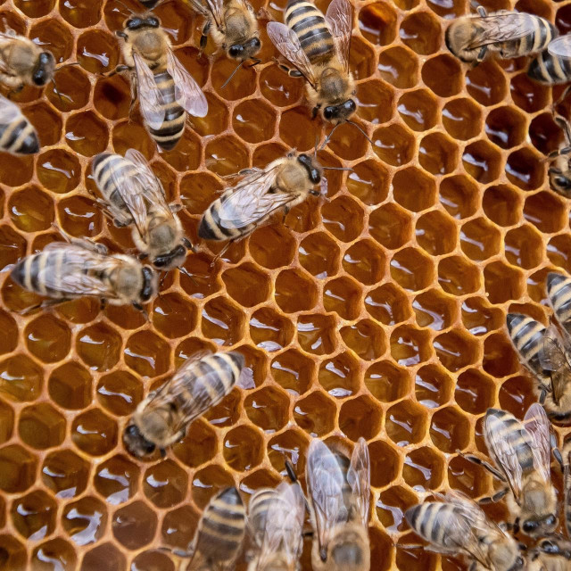 Ilustrativna fotografija