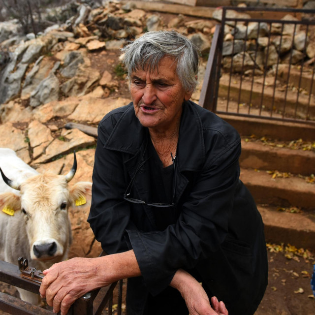 Marija Milanko s kravom Bikicom Bubi