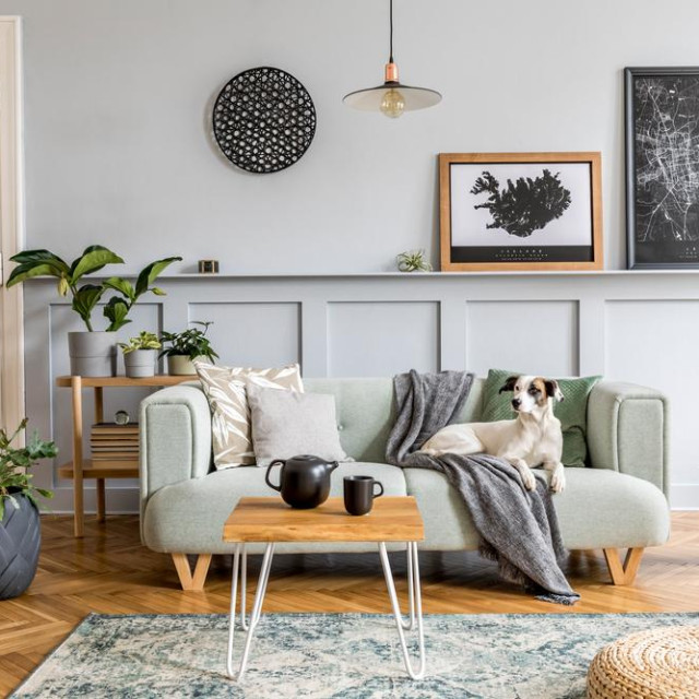 Dnevni je boravak duša svakog doma, stoga zaslužuje našu punu pozornost