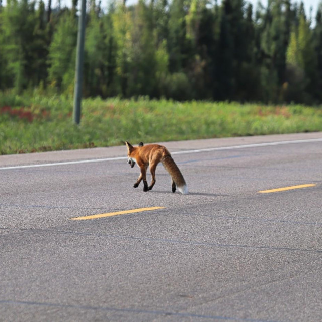 Ilustrativna fotografija