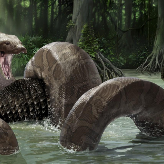 Pretpostavlja se da je ovako izgledao lov titanoboe, ilustrativna fotografija