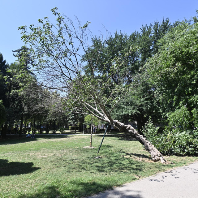 Ilustrativna fotografija