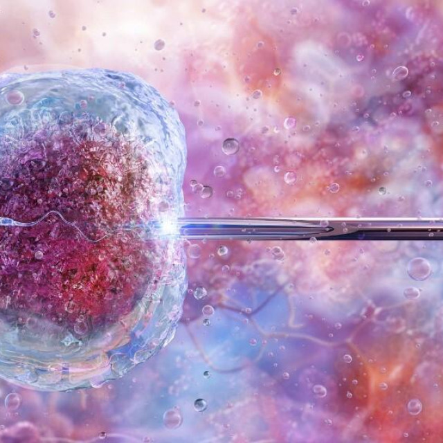 Umjetna oplodnja/Ilustracija