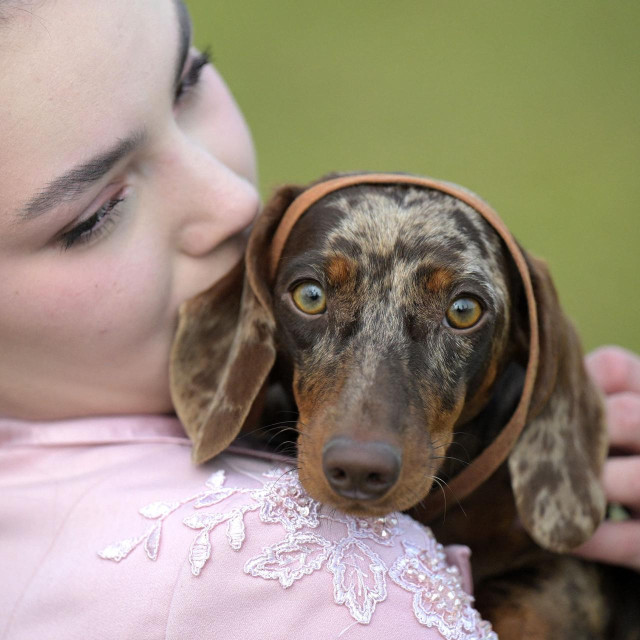 Ilustrativna fotografija