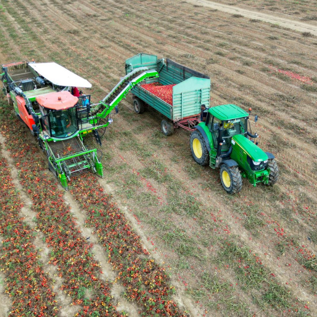 Podravka je predana razvoju domaće poljoprivrede i jačanju prehrambene neovisnosti