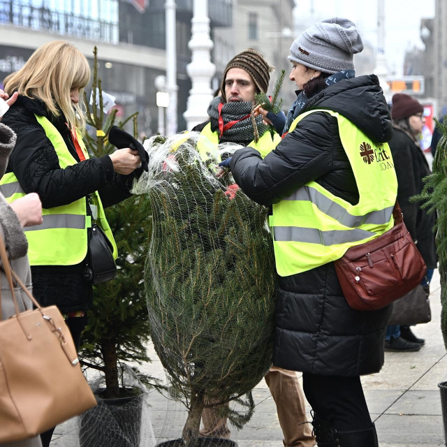 Rasprodaja božićnih drvca na Trgu bana Josipa Jelačića