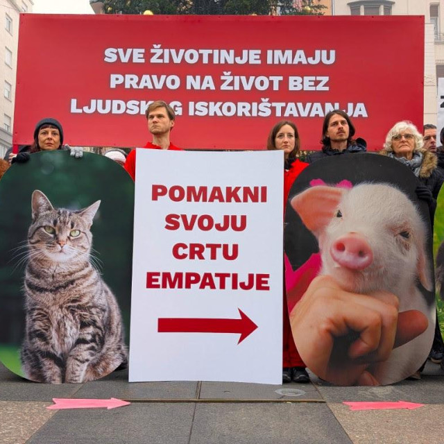 Prizor sa subotnjeg performansa