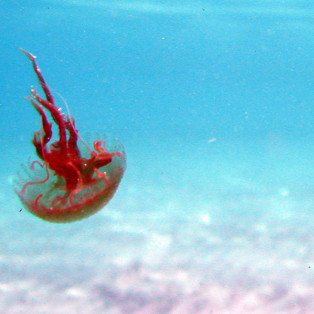 Ilustrativna fotografija