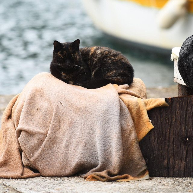 Ilustrativna fotografija