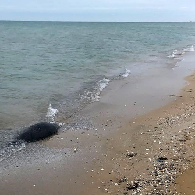 Ilustrativna fotografija