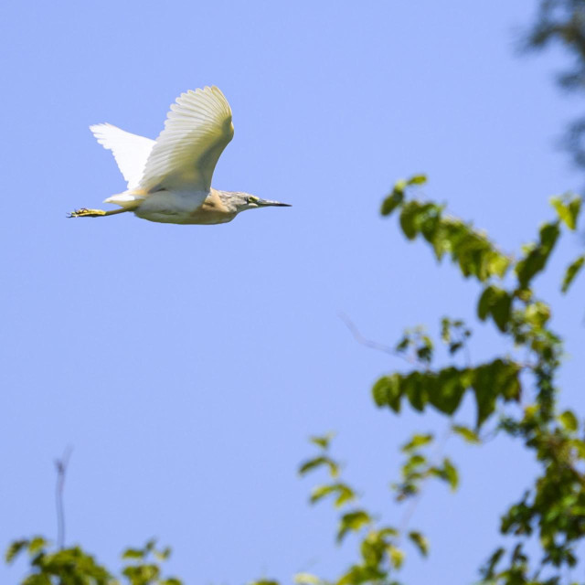 Ilustrativna fotografija