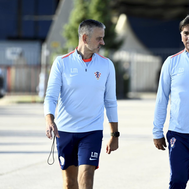 Luka Milanović i Zlatko Dalić