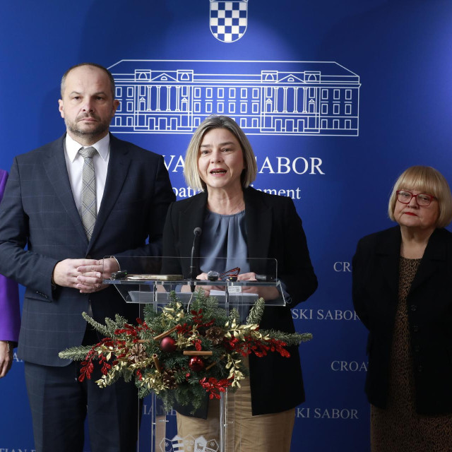 Marijana Puljak, Siniša Hajdaš Dončić, Sandra Benčić, Anka Mrak Taritaš, Dalija Orešković