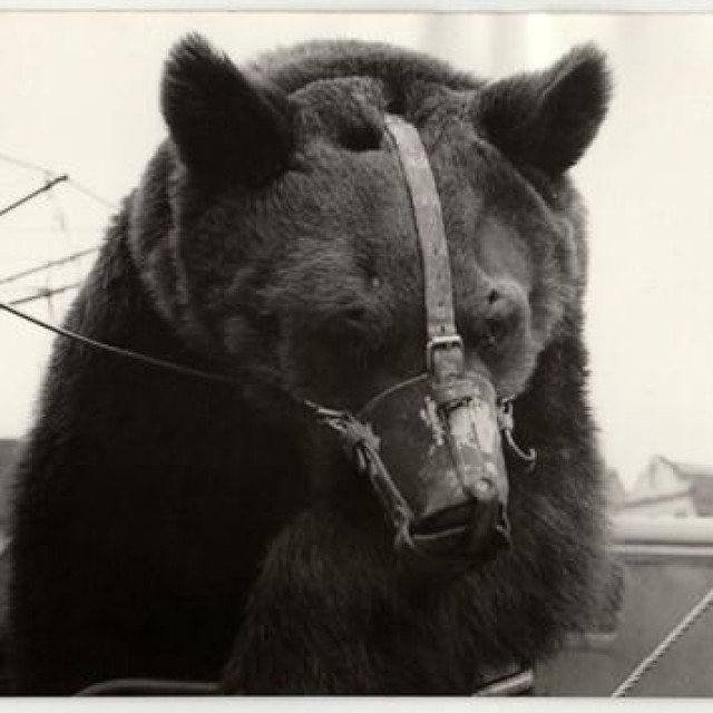 Ilustrativna fotografija