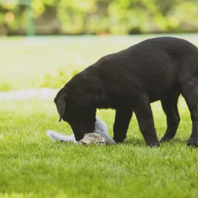 Ilustrativna fotografija