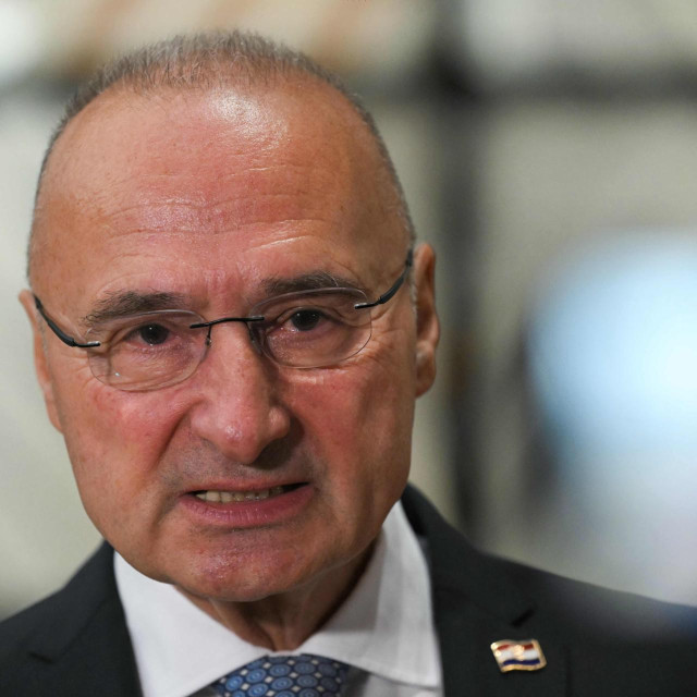 Gordan Grlić Radman