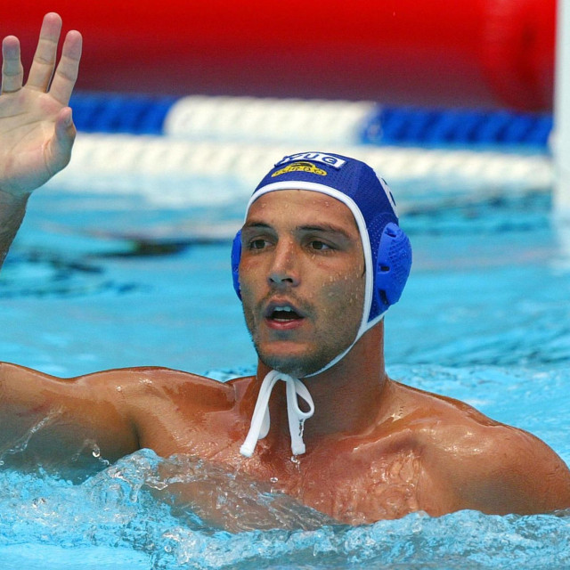 Danilo Ikodinović, 2006.