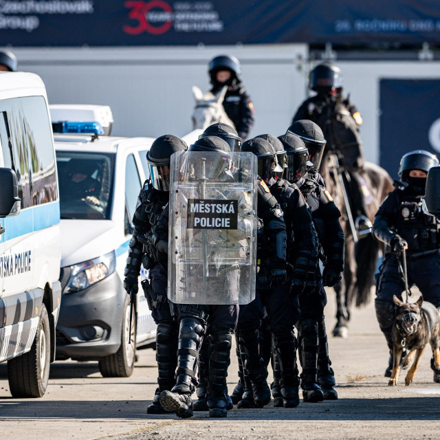 Češka policija (ilustracija)